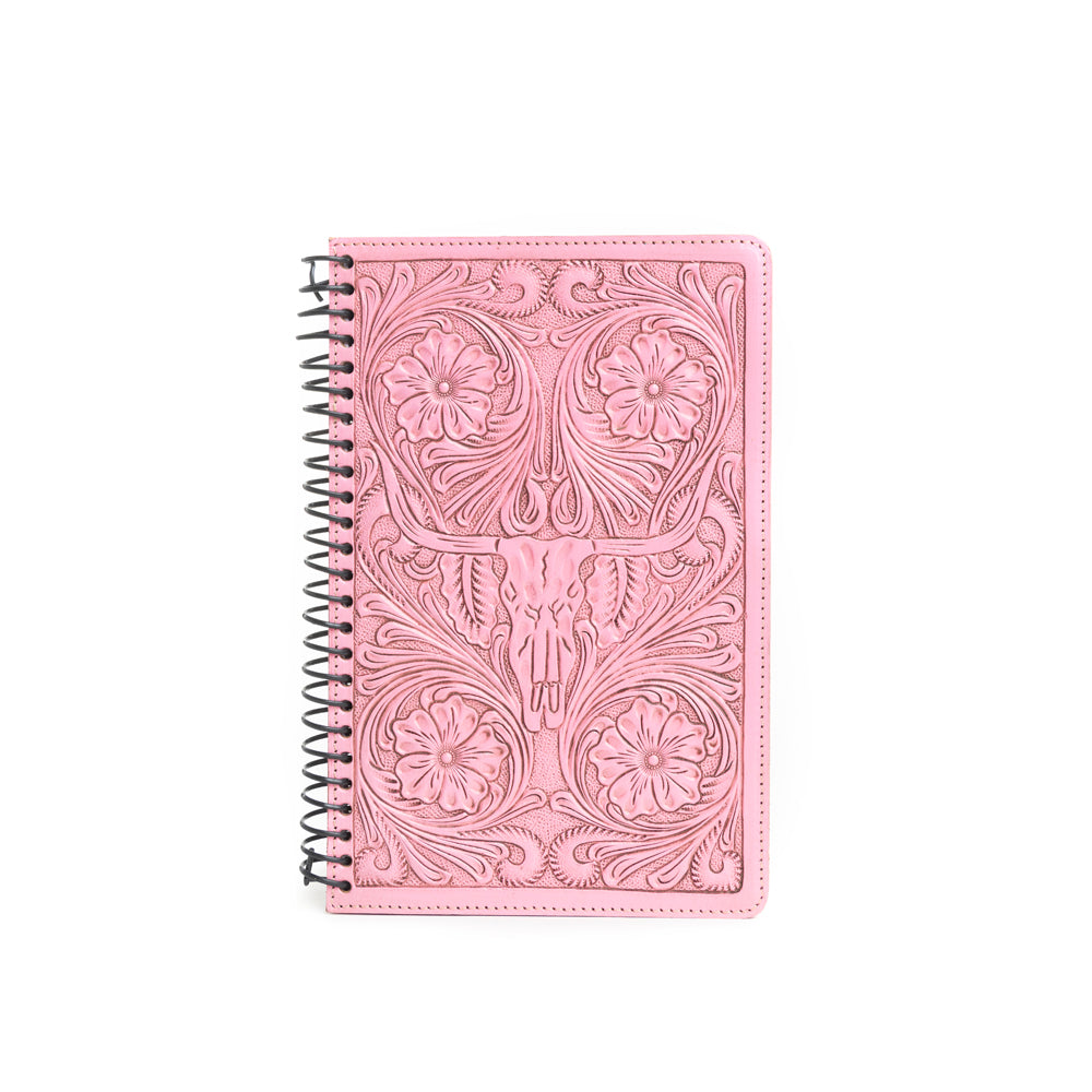 Steerhallow Canyon Diary Variant Combo