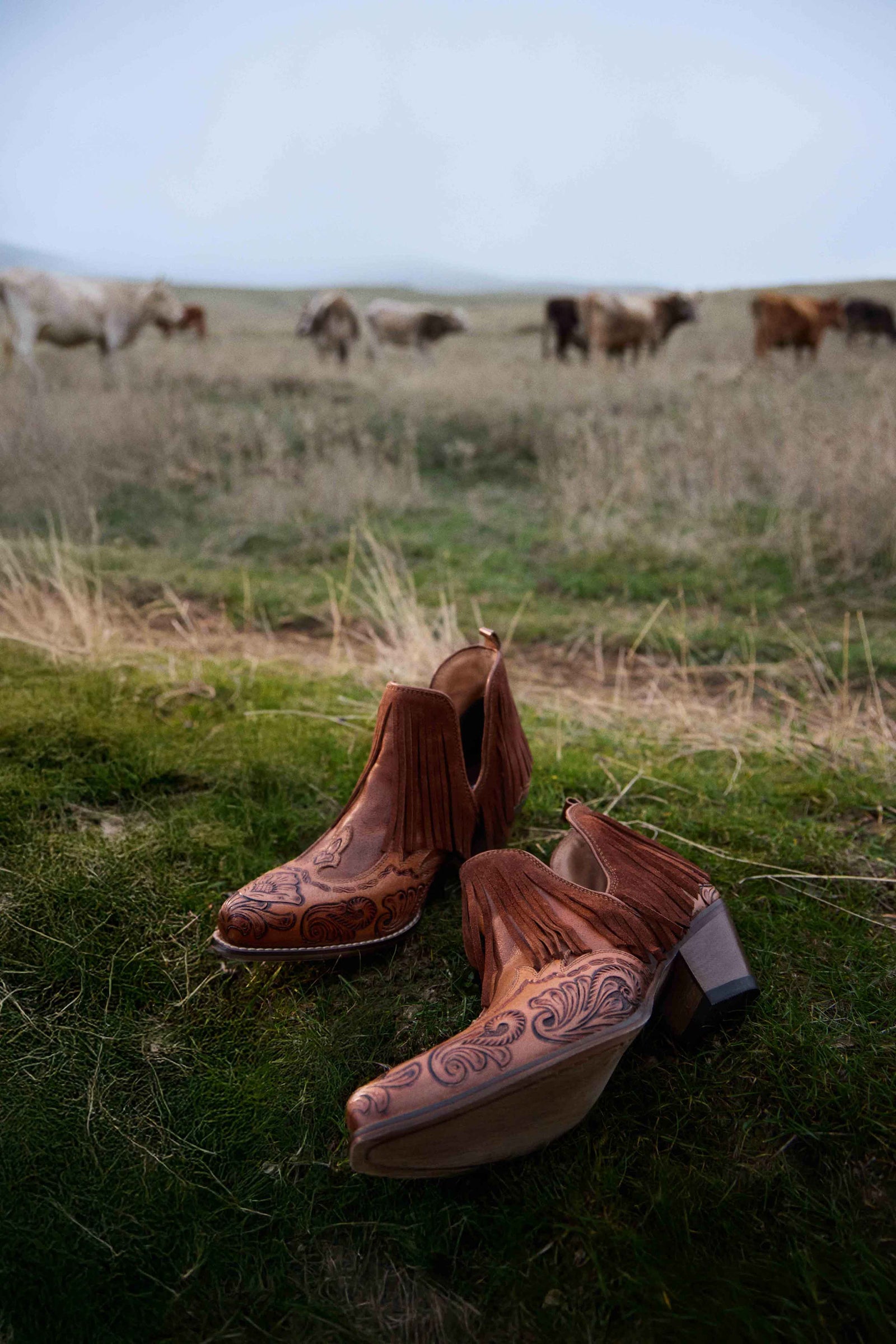 Wild Ember Fringed Handtooled Leather Booties in Golden Rust
