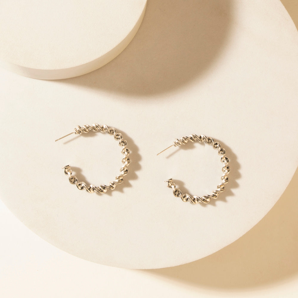 Moonbeam Earrings Set in Silver Shine