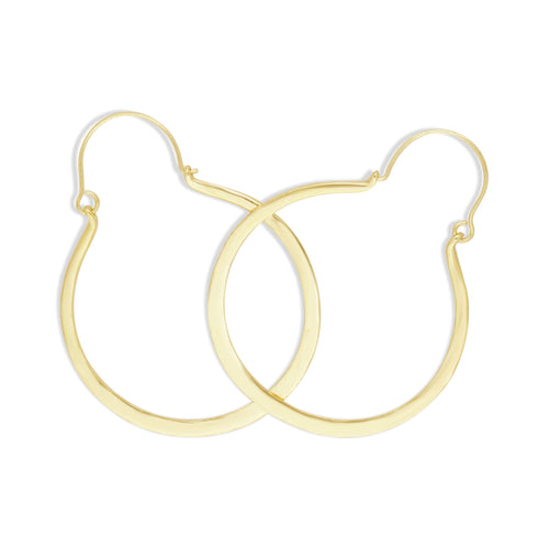 Charismatic Earrings