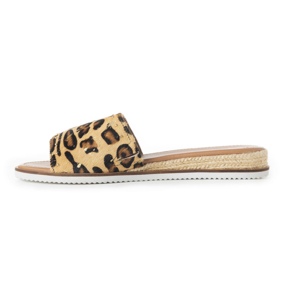 Punky flats