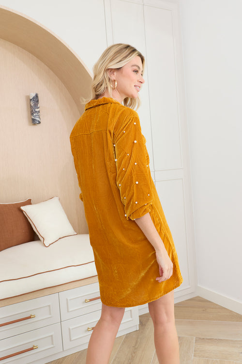 Oakrey Velvet Shirt Dress