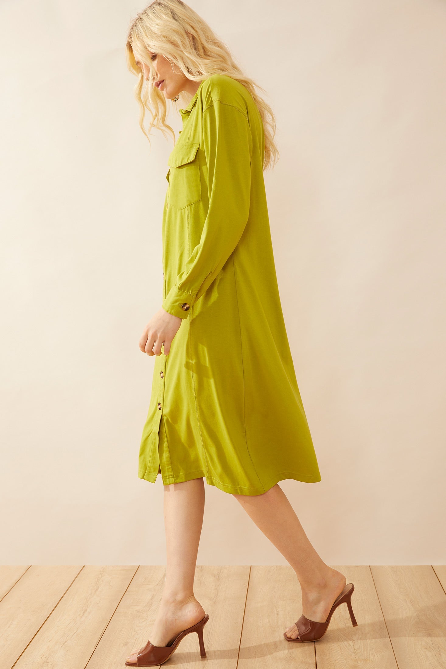 Georgeanna Shirt Dress