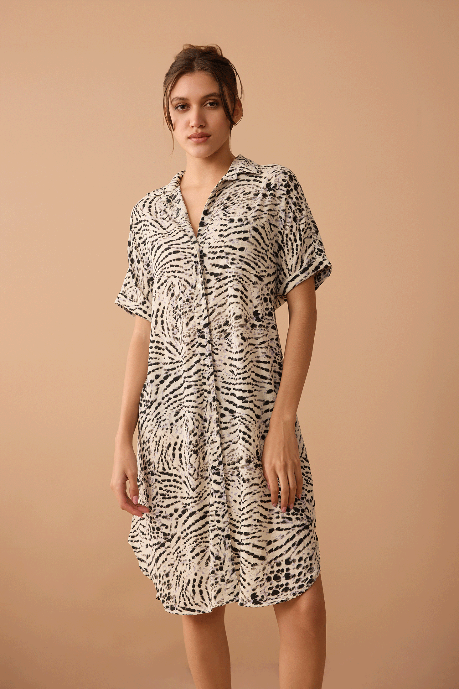 Lauren Shirt Dress