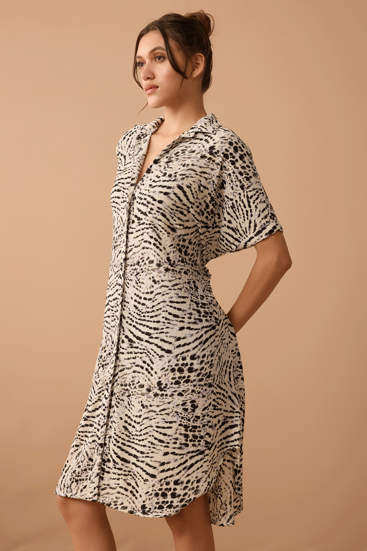 Lauren Shirt Dress