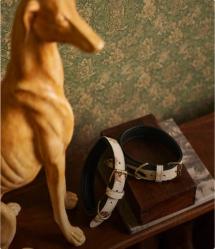 pet