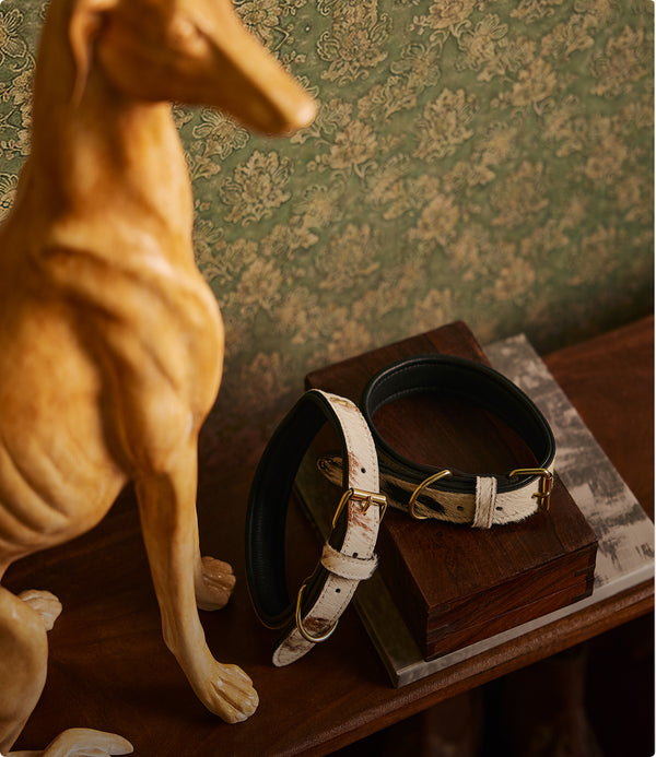 pet