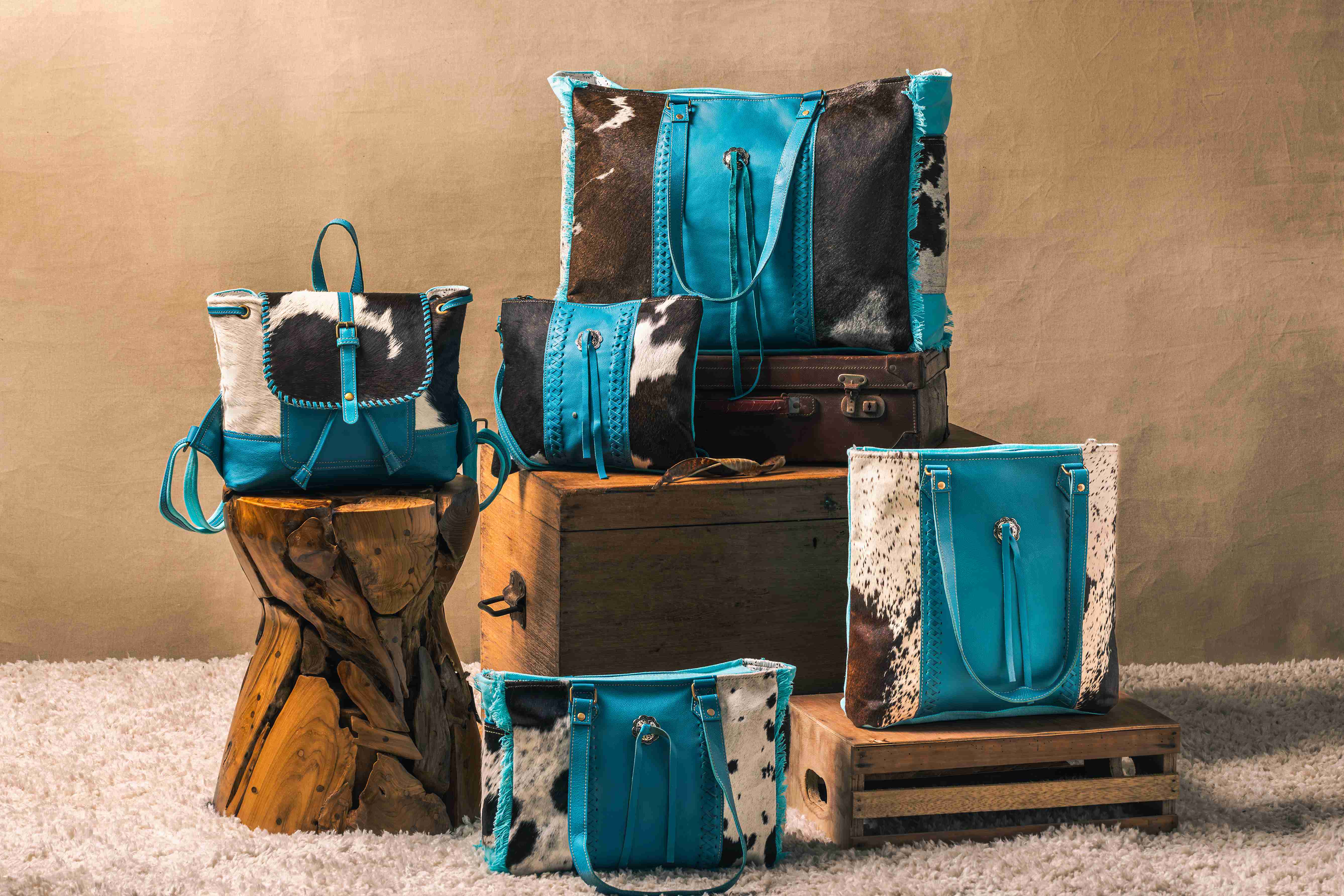 Sky Falcon CanvasÂ  Collection