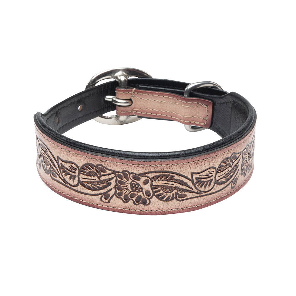 Cow Dog Trail Hand-tooled Dog Collar