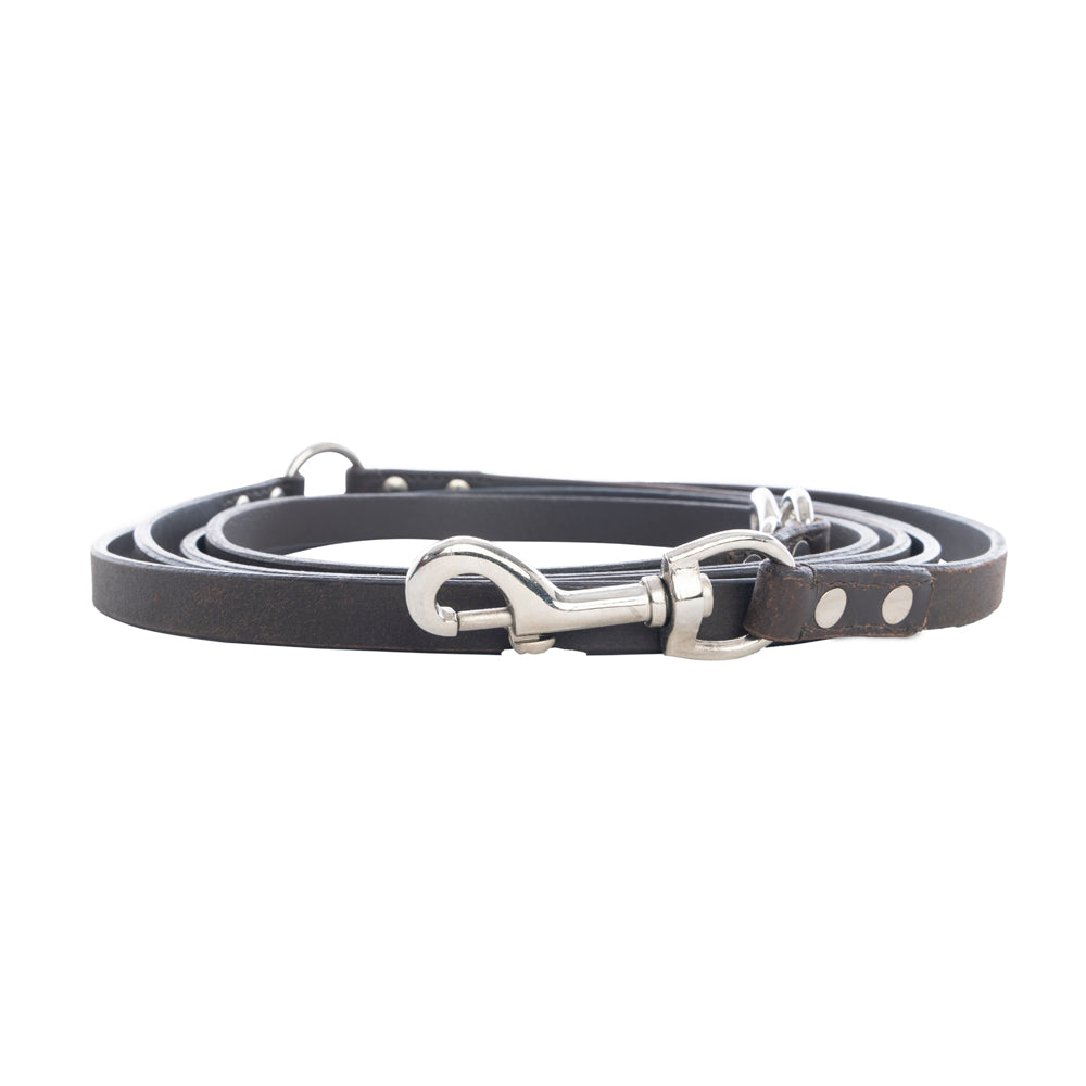 Viaje Dog Leash in Ebony