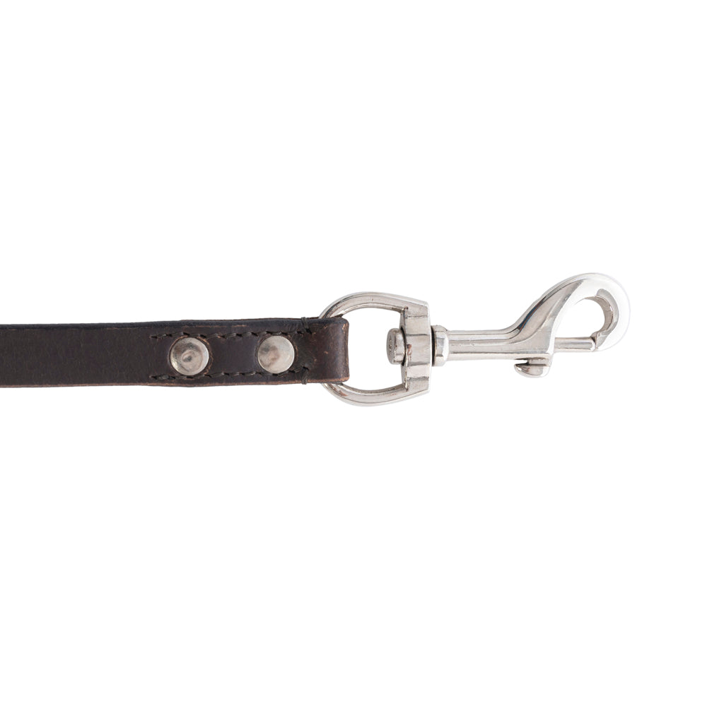 Viaje Dog Leash in Ebony