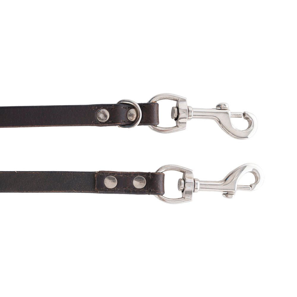 Viaje Dog Leash in Ebony