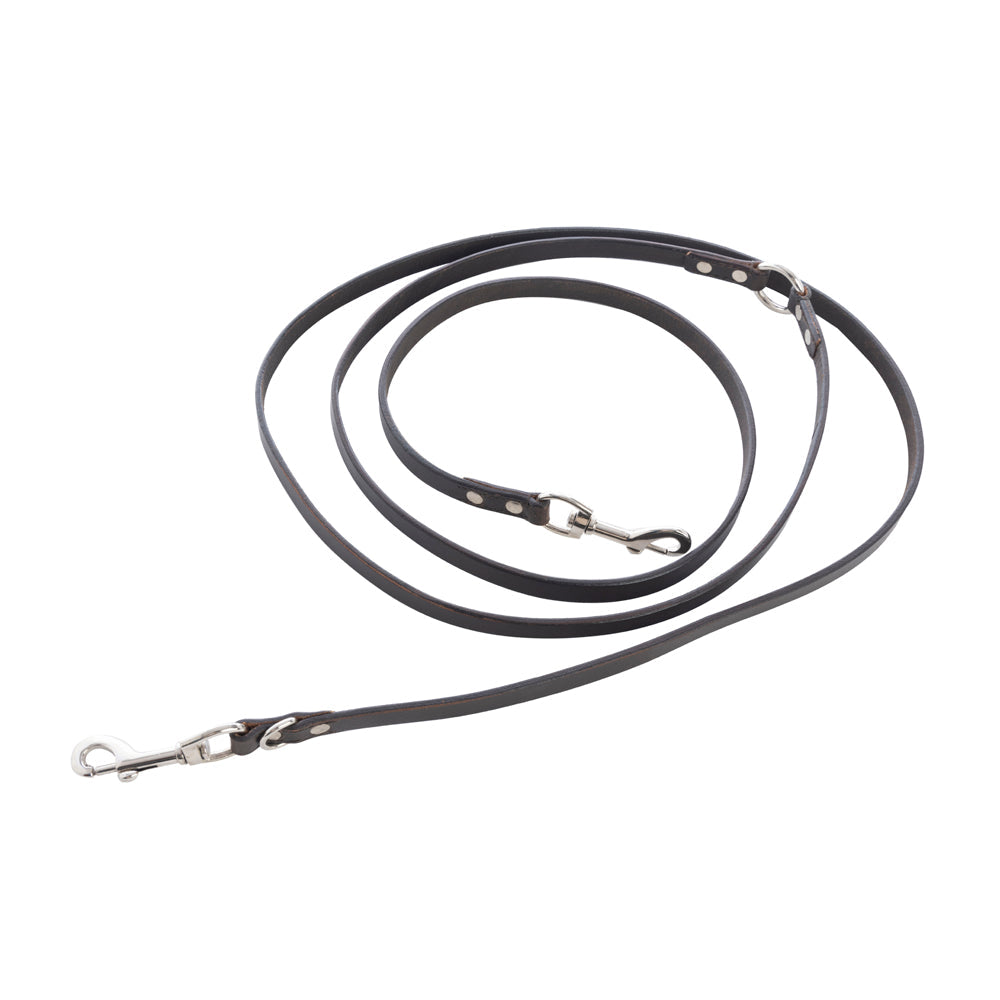 Viaje Dog Leash in Ebony