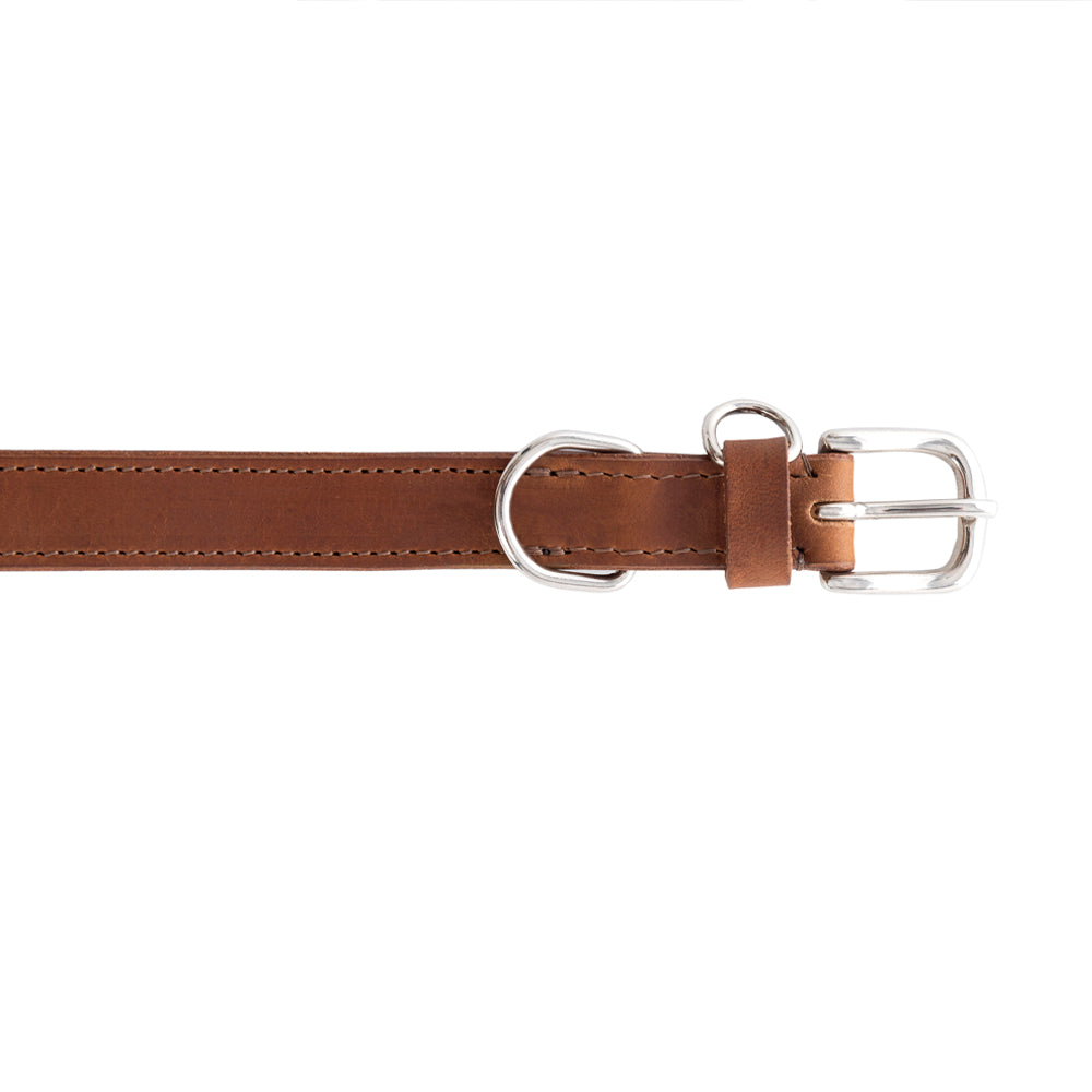 Topside Dog Collar in Chocolate