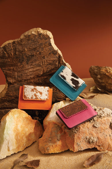 Brite Canyon Credit Card Holder Combo Pack