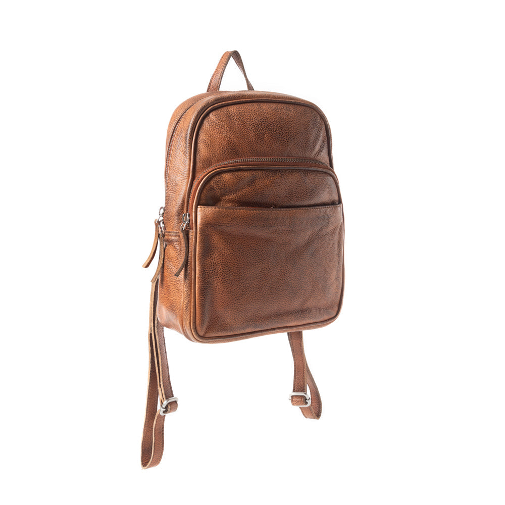 Roaming Traveller Backpack In Brown