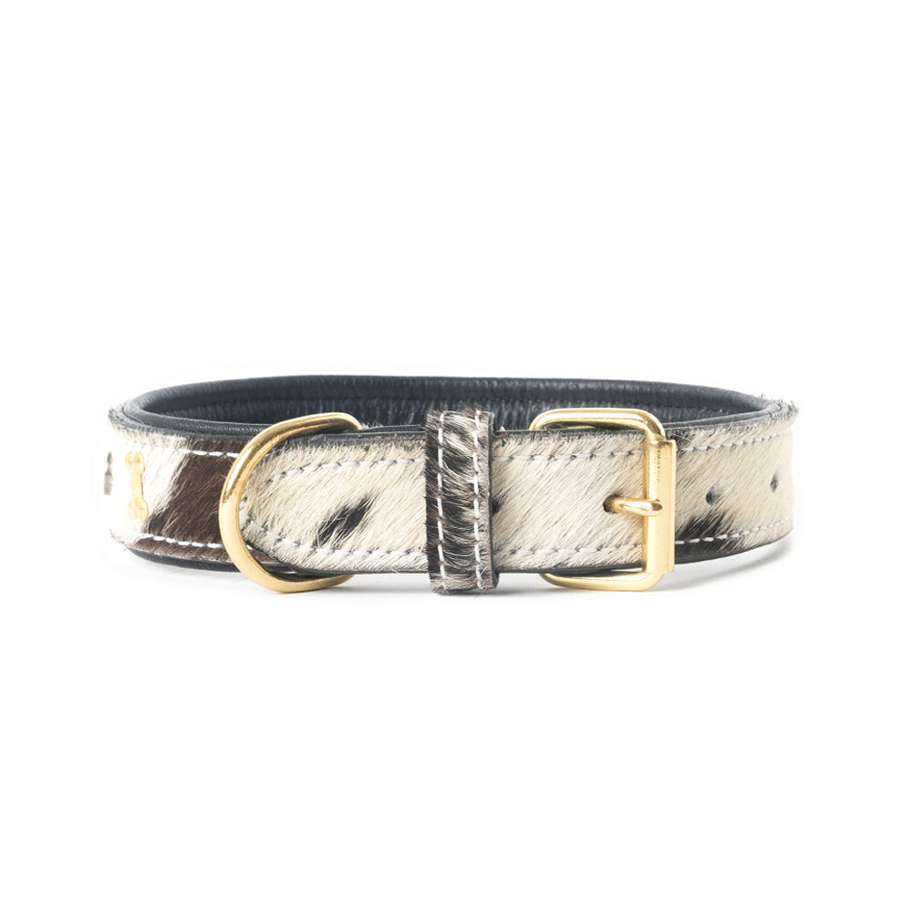 Prairie Paws Studded Hairon Dog Collar in Ash & Ivory
