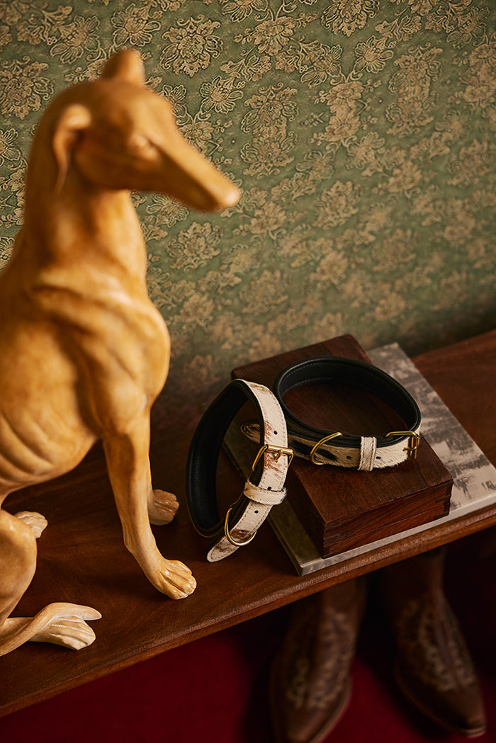 Prairie Paws Studded Hairon Dog Collar in Brown & White