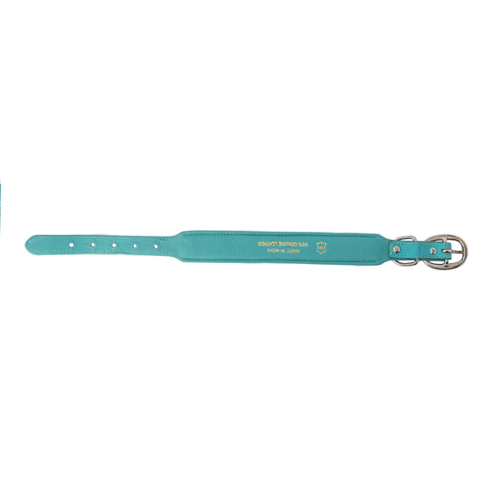 Turquoise Sky Southwest Dog Collar in Turquoise