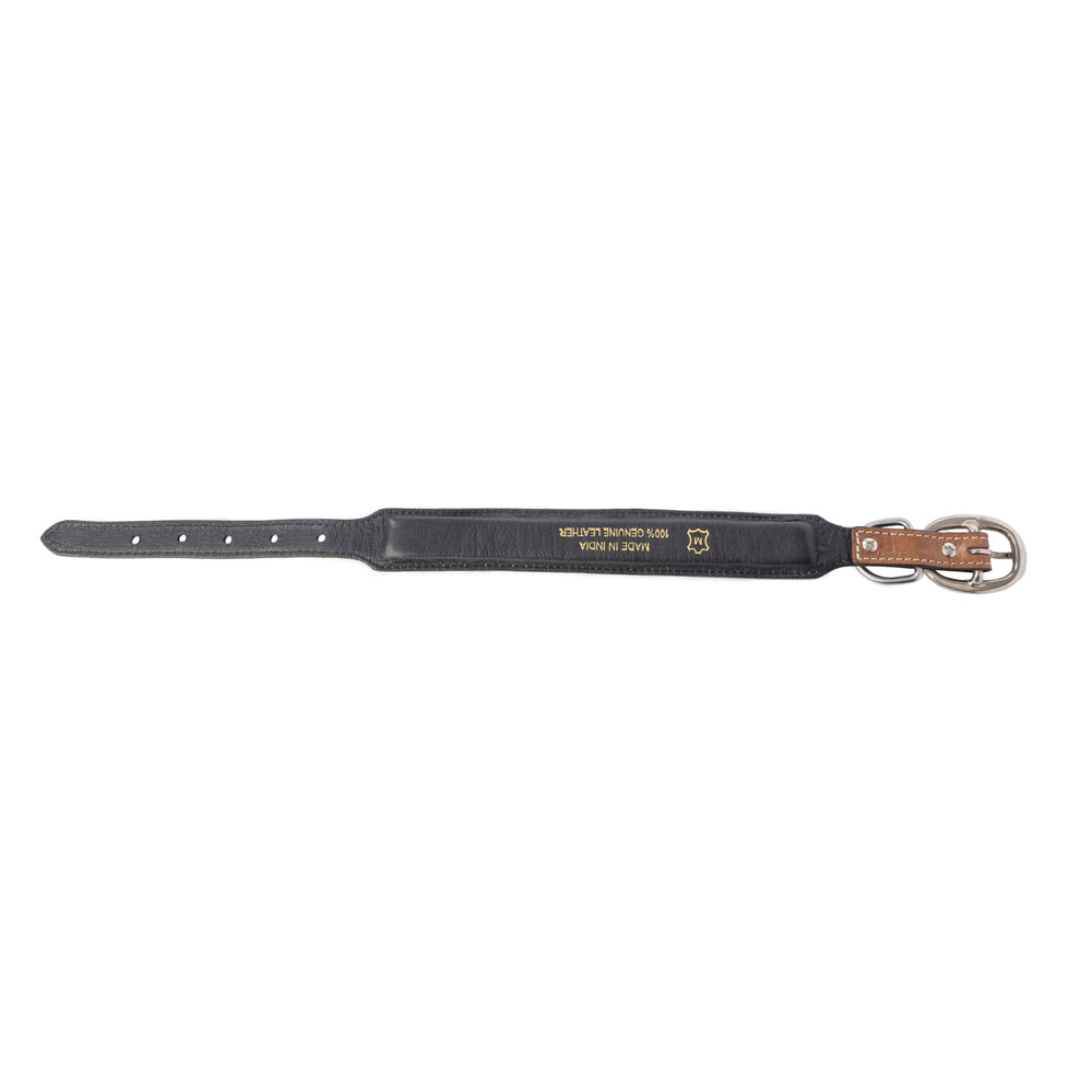 Prairie Sunflower Trail Dog Collar in Sandstone