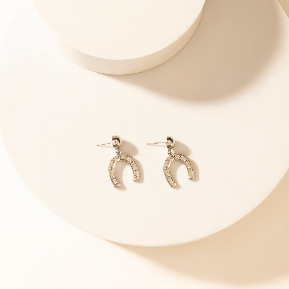 Moonbeam Earrings Set in Silver Shine
