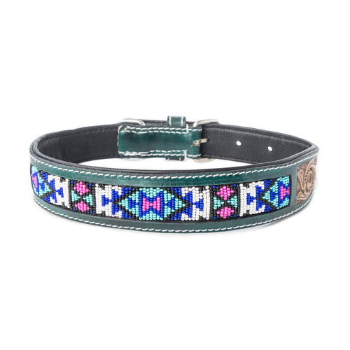 Turquoise Blossom Western Dog Collar in Brown