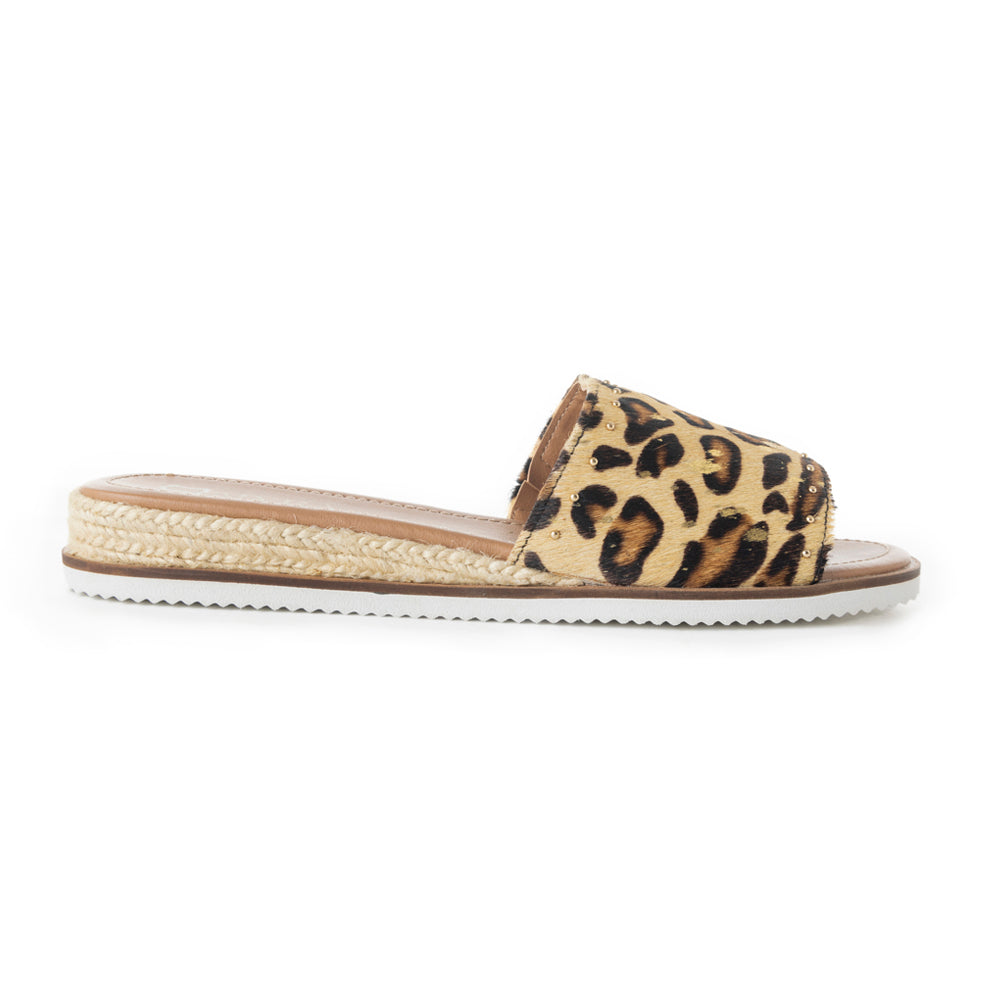 Punky flats