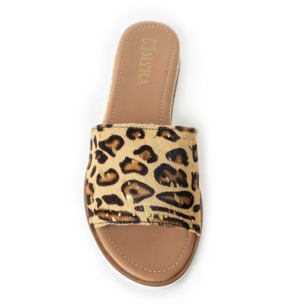 Punky flats