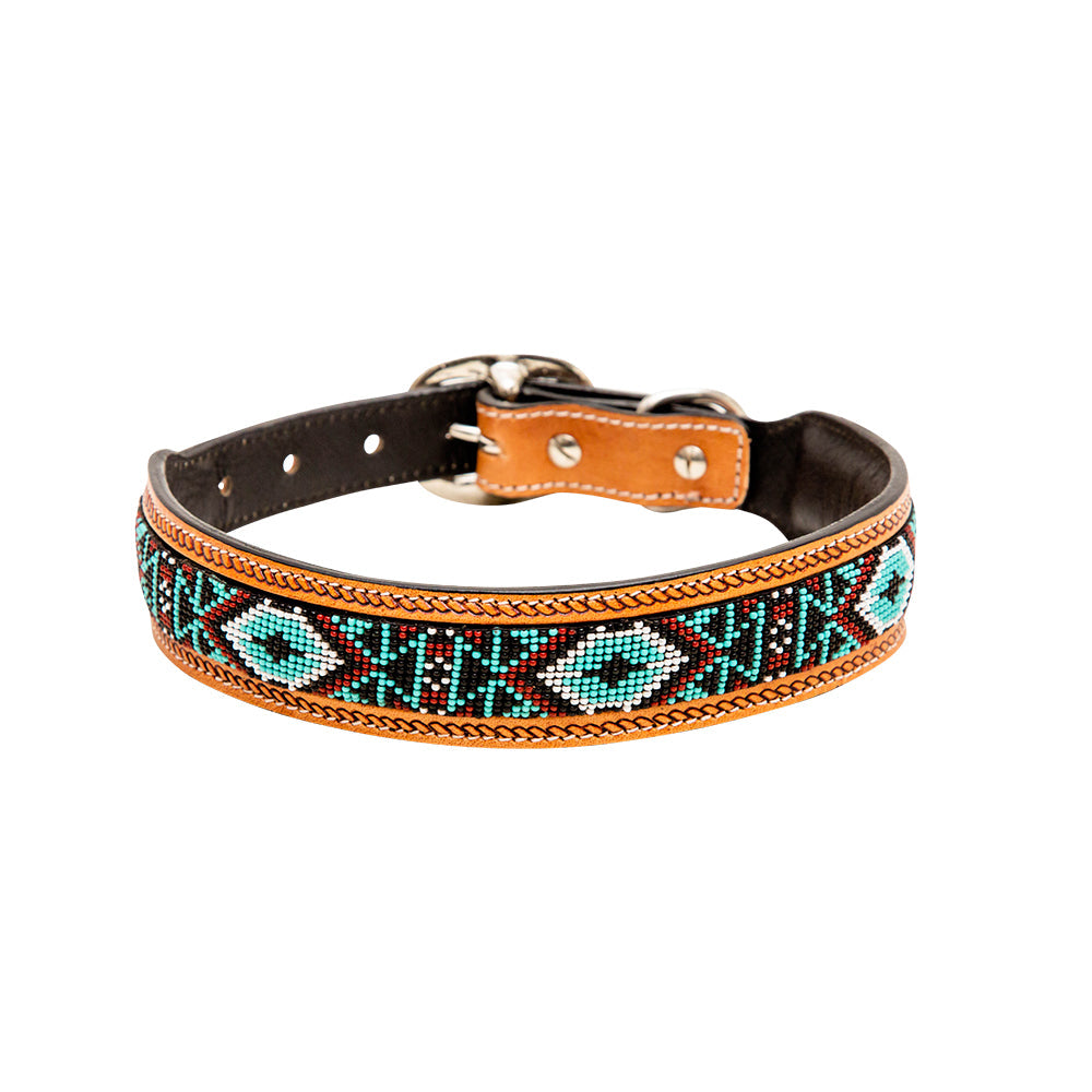 Full bloom leather best seller dog coller combo