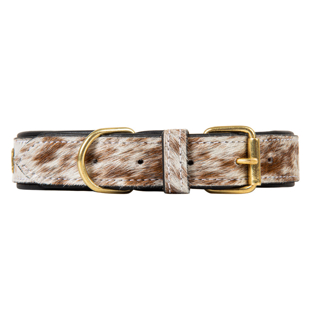 Chissum Hair-On Hide Dog Collar