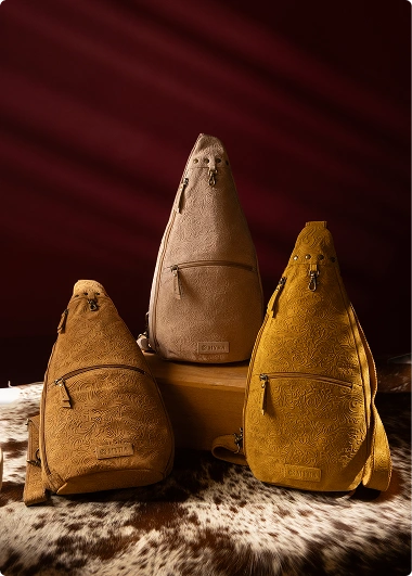 Shop All Collections