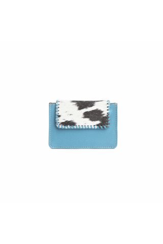 Brite Canyon Credit Card Holder in Sky Blue