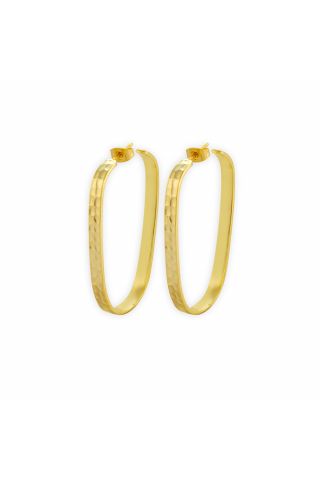 Radiance Gold Tone Earrings